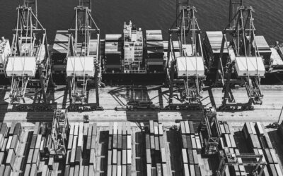 ¿Qué hacer con la desconfianza en el libre mercado?