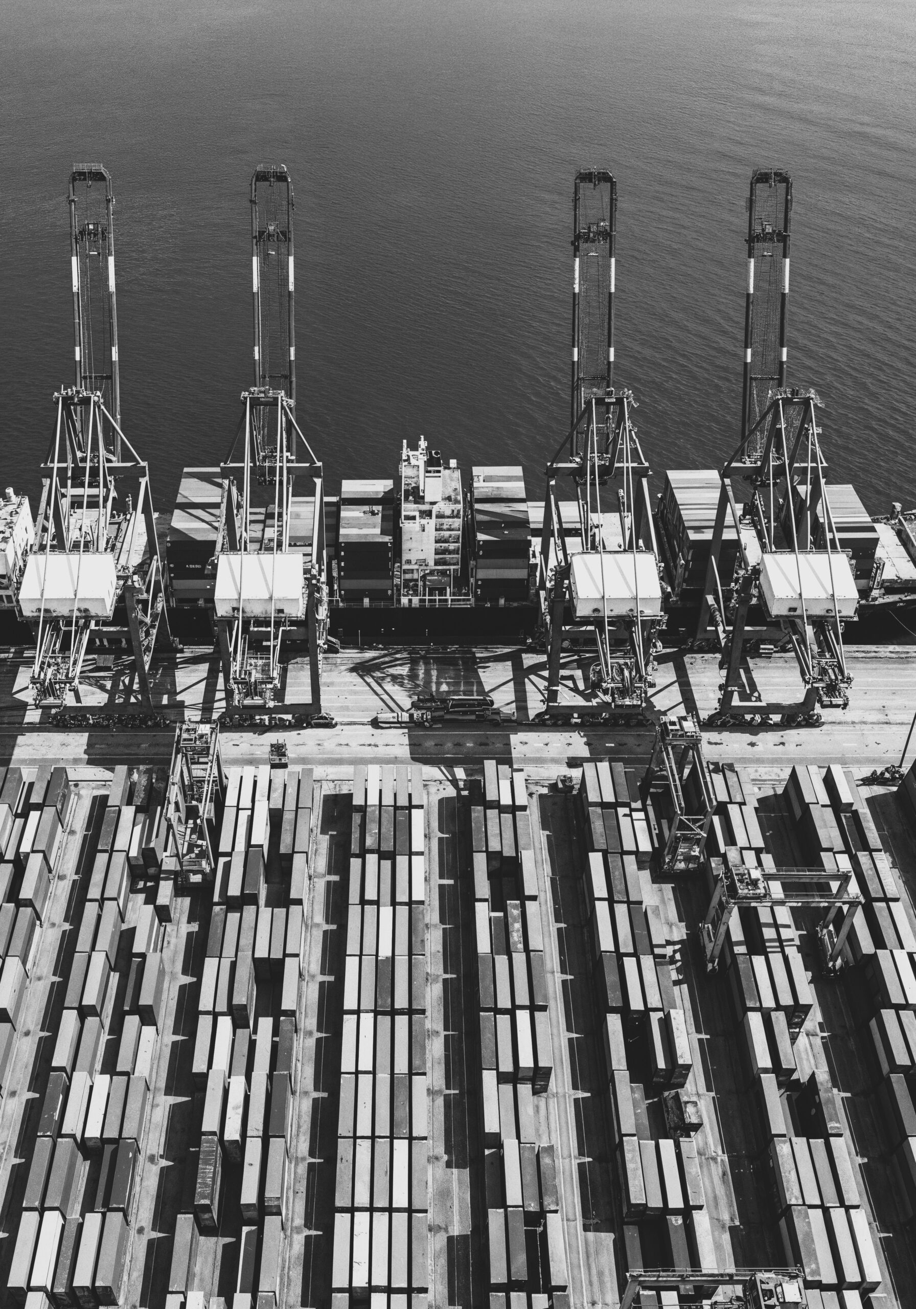 Nueve elementos de los programas de cumplimiento en materia de competencia económica